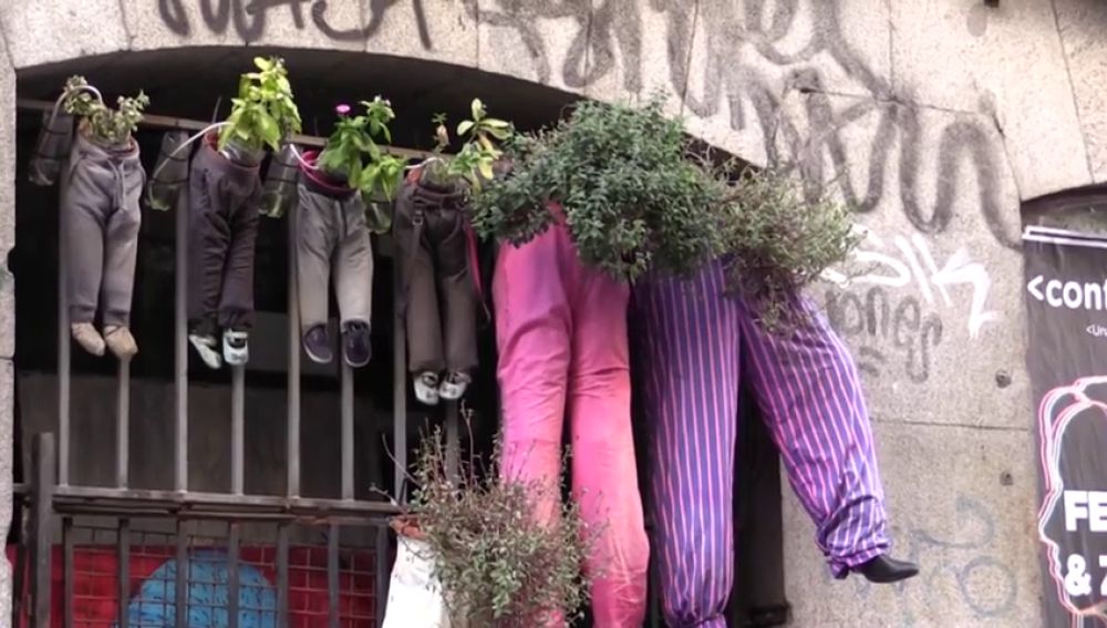El hombre de los pantalones, un jubilado crea un jardín vertical en Malasaña