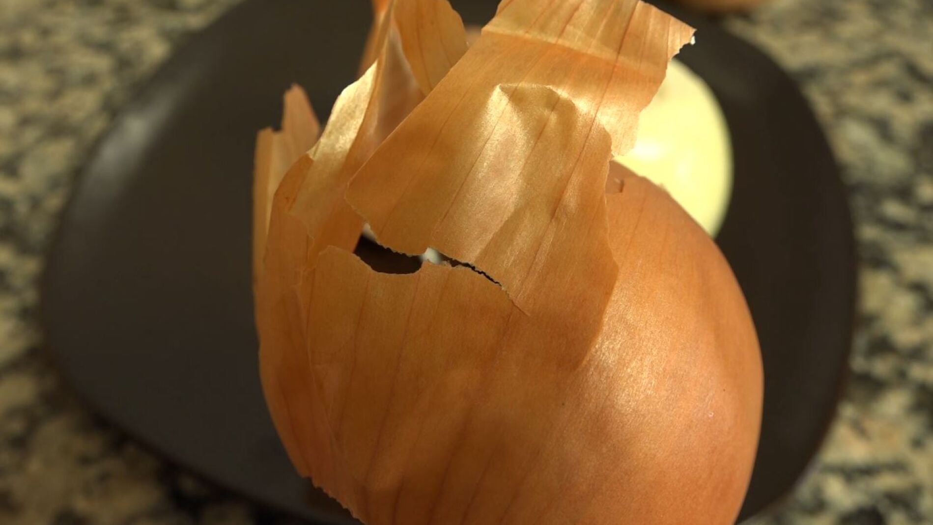 Cebolla