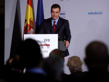El presidente del Gobierno en funciones, Pedro Sánchez