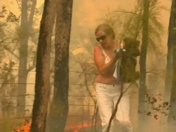 El desgarrador rescate de un koala en medio de las llamas por los incendios de Australia