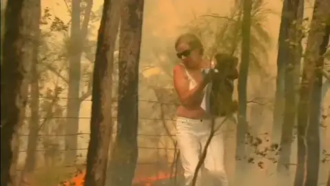 El desgarrador rescate de un koala en medio de las llamas por los incendios de Australia El desgarrador rescate de un koala en medio de las llamas por los incendios de Australia