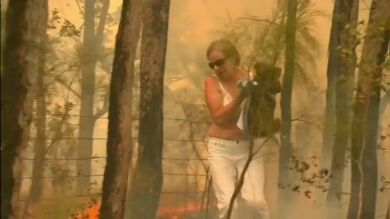 El desgarrador rescate de un koala en medio de las llamas por los incendios de Australia