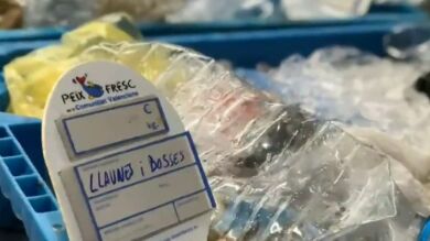  Los pescadores de Denia 'venden' los 6.000 kilos de plástico recogidos en un año para protestar contra el cambio climático
