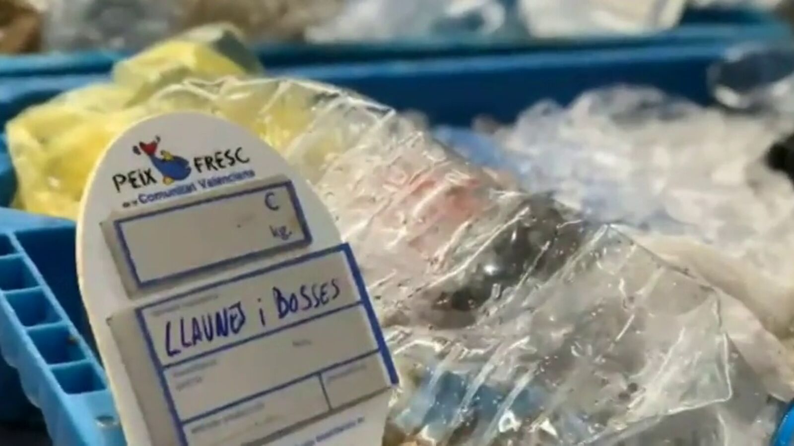  Los pescadores de Denia 'venden' los 6.000 kilos de plástico recogidos en un año para protestar contra el cambio climático