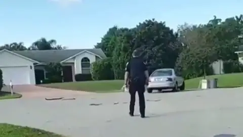 REEMPLAZO Rescatan a un perro que llevaba una hora conduciendo en círculos en Florida REEMPLAZO Rescatan a un perro que llevaba una hora conduciendo en círculos en Florida