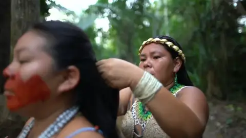 Tribus indígenas Tribus indígenas