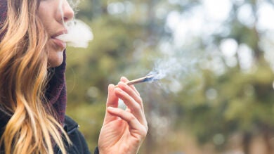 Una empresa busca a una persona que fume marihuana por 2.600 euros al mes