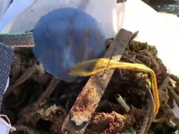 Se recogen en dos días más de 1.500 kilos de basura en el río Arousa