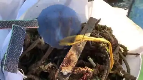 Se recogen en dos días más de 1.500 kilos de basura en el río Arousa Se recogen en dos días más de 1.500 kilos de basura en el río Arousa