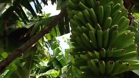 ¿Cómo podemos reducir nuestra huella de carbono consumiendo productos de cercanía? ¿Cómo podemos reducir nuestra huella de carbono consumiendo productos de cercanía?