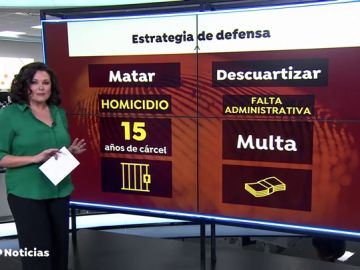 La estrategia de defensa del asesino confeso de Marta Calvo será clave en el juicio