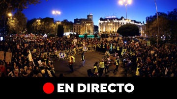 Manifestación por el clima, en directo