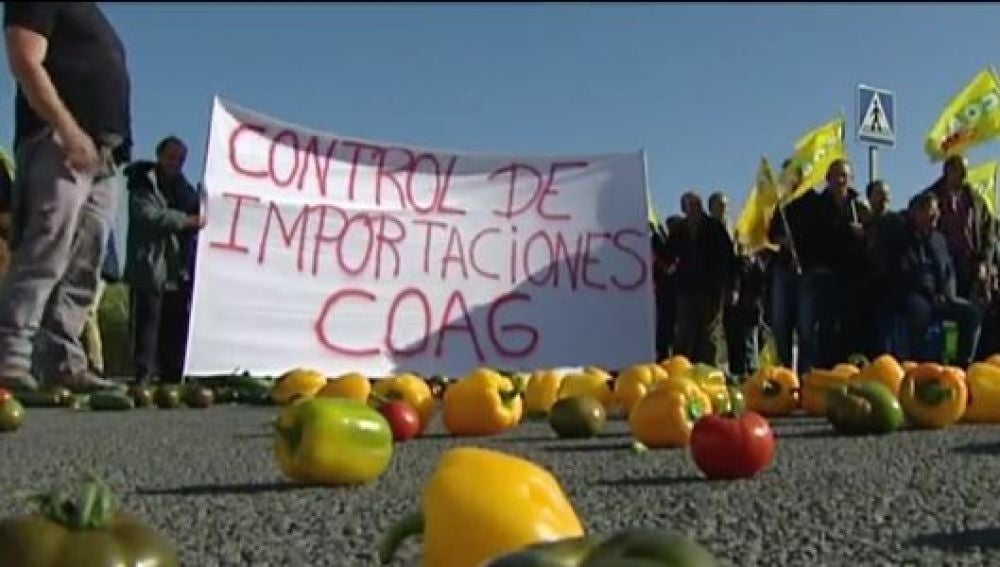 Los agricultores de Andalucía denuncian que los productos agrícolas procedentes de África no siempre pasan los controles 