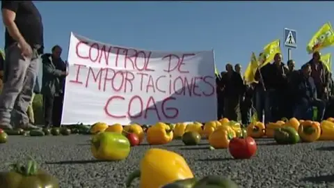 Los agricultores de Andalucía denuncian que los productos agrícolas procedentes de África no siempre pasan los controles Los agricultores de Andalucía denuncian que los productos agrícolas procedentes de África no siempre pasan los controles