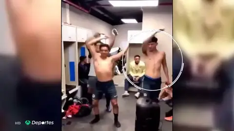 Nueva violador Nueva violador