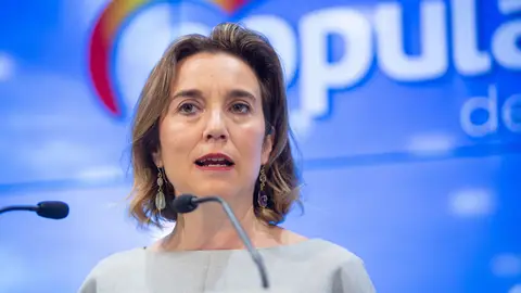 Gamarra (PP) afirma que el PSOE "está dispuesto a romper el modelo constitucional" Gamarra (PP) afirma que el PSOE "está dispuesto a romper el modelo constitucional"
