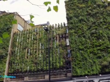 10.000 plantas rodean las paredes de este hotel comprometido con el turismo sostenible