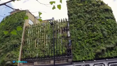 10.000 plantas rodean las paredes de este hotel comprometido con el turismo sostenible 10.000 plantas rodean las paredes de este hotel comprometido con el turismo sostenible
