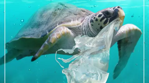 Stop plásticos Stop plásticos