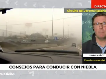 NIEBLA NIEBLA
