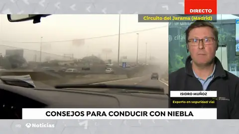 NIEBLA NIEBLA