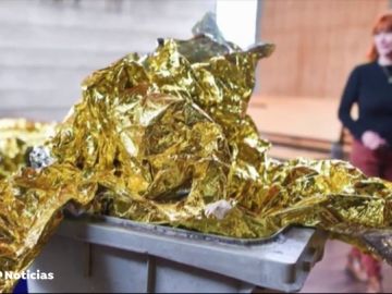 Las obras de arte más raras: excrementos enlatados o un inodoro de oro