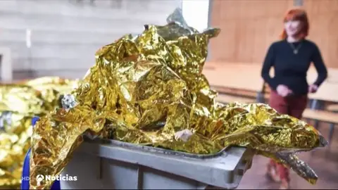 Las obras de arte más raras: excrementos enlatados o un inodoro de oro Las obras de arte más raras: excrementos enlatados o un inodoro de oro