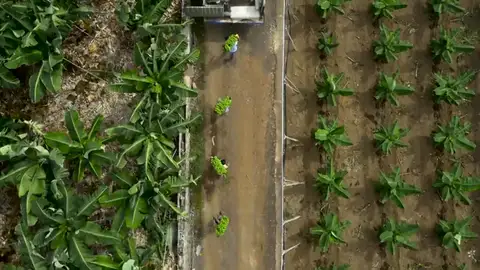 La agricultura sostenible, un modelo que respeta nuestro planeta La agricultura sostenible, un modelo que respeta nuestro planeta