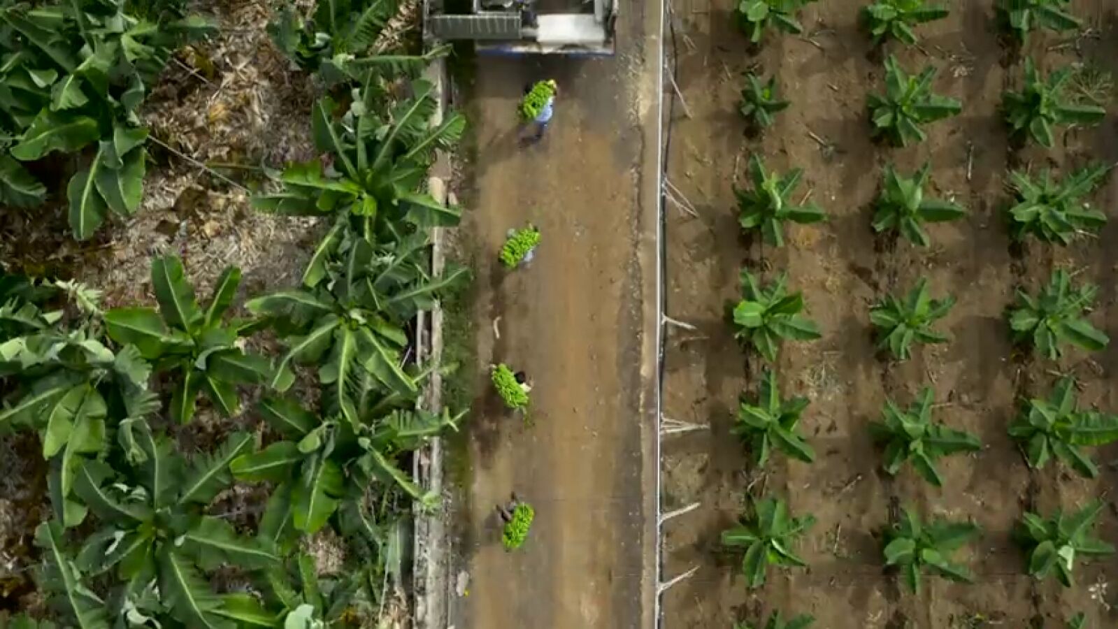 La agricultura sostenible, un modelo que respeta nuestro planeta