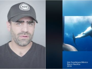 Arturo Isla y su denuncia sobre la muerte de un tiburón