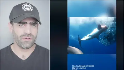 Arturo Isla y su denuncia sobre la muerte de un tiburón Arturo Isla y su denuncia sobre la muerte de un tiburón