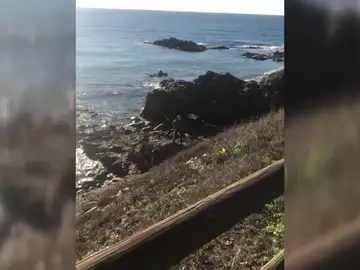 Aparece el cadáver de un hombre asesinado a tiros en la Costa del Sol, el sexto en dos meses Aparece el cadáver de un hombre asesinado a tiros en la Costa del Sol, el sexto en dos meses