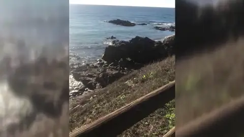 Aparece el cadáver de un hombre asesinado a tiros en la Costa del Sol, el sexto en dos meses Aparece el cadáver de un hombre asesinado a tiros en la Costa del Sol, el sexto en dos meses