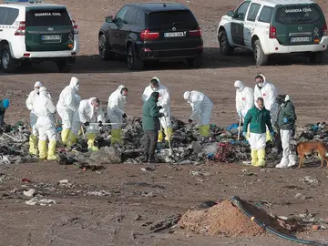 Alrededor de 30 guardias buscan con perros el cuerpo de Marta en el vertedero Alrededor de 30 guardias buscan con perros el cuerpo de Marta en el vertedero