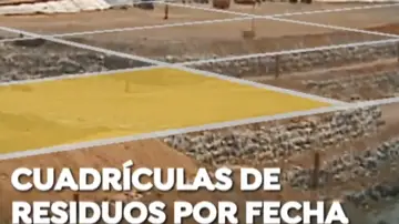 Cuadrículas de residuos por fecha Cuadrículas de residuos por fecha