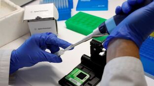 Investigaci&oacute;n sobre el c&aacute;ncer de mama