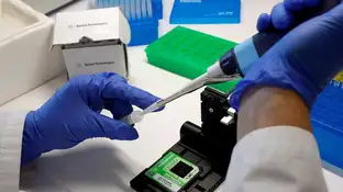Investigación sobre el cáncer de mama Investigación sobre el cáncer de mama
