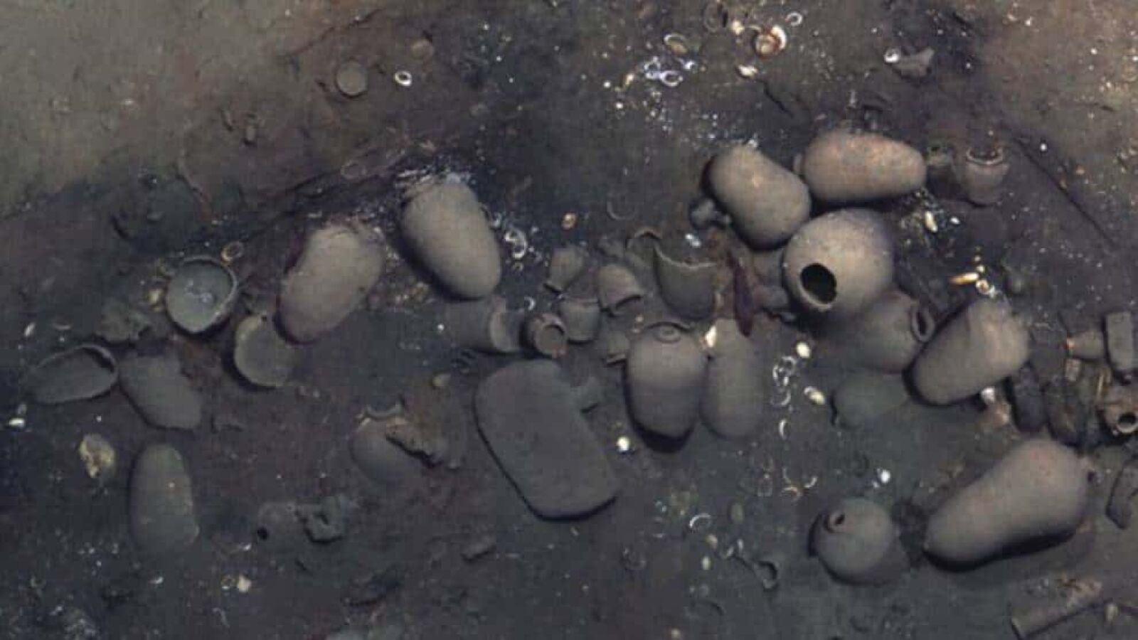 Colombia declara bien de interés cultural indivisible el galeón San José