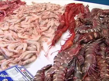 MARISCO MARISCO