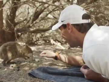 El bonito vídeo de Rafa Nadal con un marsupial que enamora en las redes sociales 