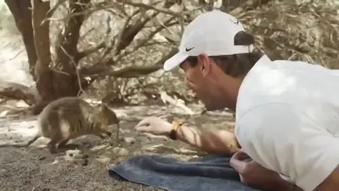 El bonito vídeo de Rafa Nadal con un marsupial que enamora en las redes sociales El bonito vídeo de Rafa Nadal con un marsupial que enamora en las redes sociales