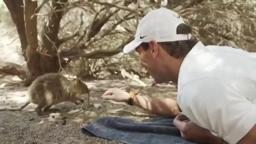 El bonito vídeo de Rafa Nadal con un marsupial que enamora en las redes sociales El bonito vídeo de Rafa Nadal con un marsupial que enamora en las redes sociales