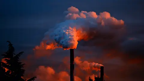 Contaminación Contaminación