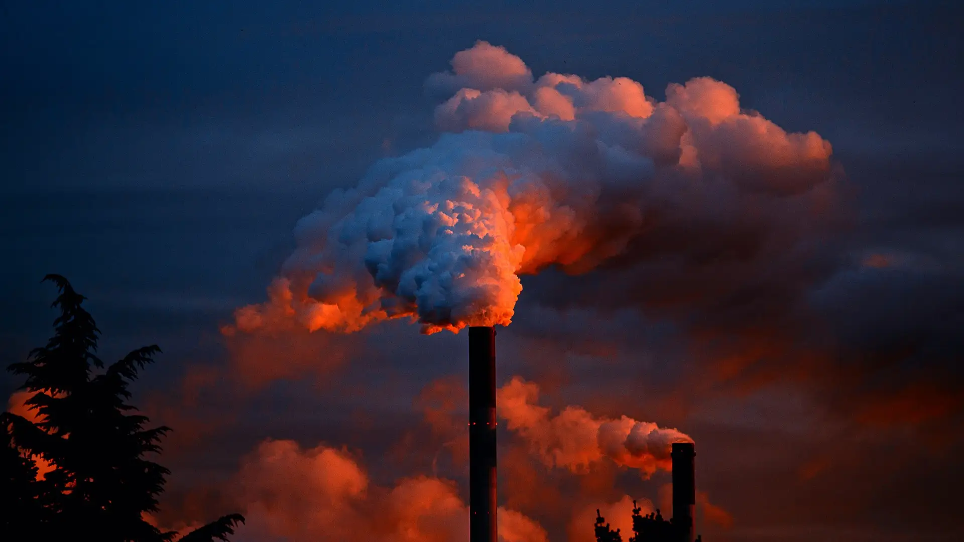 Contaminación Contaminación