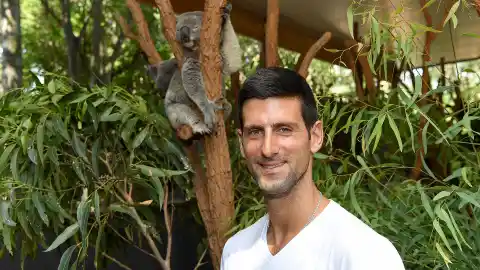 Djokovic, con un koala Djokovic, con un koala