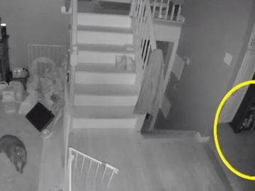 Fantasma aparece en la cámara de seguridad Fantasma aparece en la cámara de seguridad