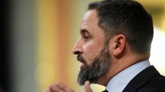Santiago Abascal, presidente de Vox