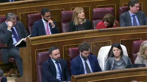 Ortega Smith lee un libro y Pablo Iglesias escribe: así actúan los diputados durante la investidura de Pedro Sánchez Ortega Smith lee un libro y Pablo Iglesias escribe: así actúan los diputados durante la investidura de Pedro Sánchez