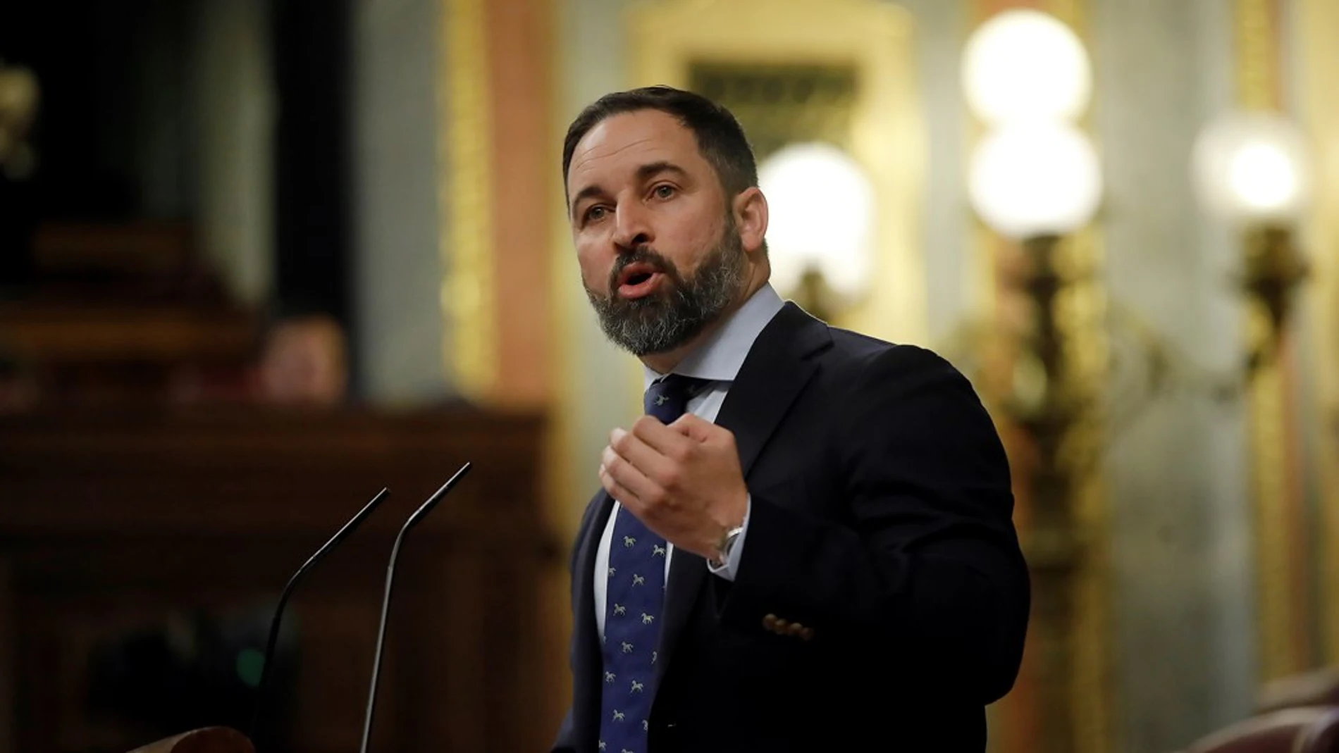 Santiago Abascal, presidente de Vox, en el Congreso de los Diputados Santiago Abascal, presidente de Vox, en el Congreso de los Diputados