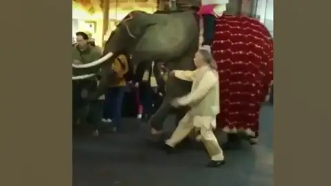 El alcalde de Medina del Campo recibe un susto al recibir un 'trompazo' por un elefante en la cabalgata de Reyes El alcalde de Medina del Campo recibe un susto al recibir un 'trompazo' por un elefante en la cabalgata de Reyes